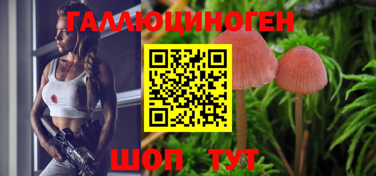 Галлюциногенные грибы Psilocybine cubensis Жигулёвск